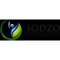 sodzo international logo image