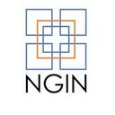 logo of Next Generation Insurance Network Ngin