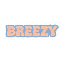 breezy logo image