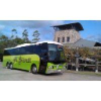 mt gravatt coach & travel