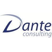 dante consulting, inc. logo image