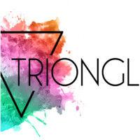 triongl logo image