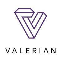 valerian capital partners logo image