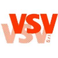 v.s.v. srl - costruzione stampi e tranciatura logo image