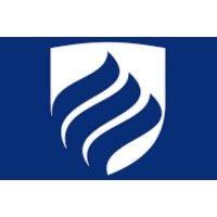 school of business - elmhurst university logo image