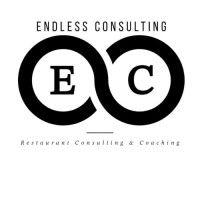 endless consulting logo image