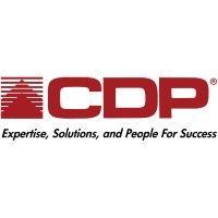 cdp, inc logo image