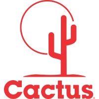 cactus wellhead