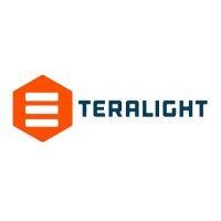 the teralight group logo image