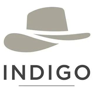 INDIGO Concept