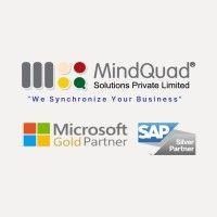 mindquad solutions logo image