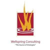 wellspring financial corporation logo image