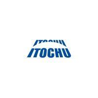 itochu singapore pte ltd logo image