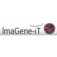 imagene-it logo image