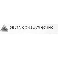 delta consulting inc logo image