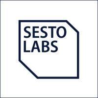 sesto labs logo image