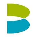 logo of Brierley A Capillary Services Company