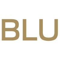 blu / real estate logo image