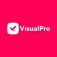 visual pro logo image