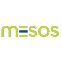 mesos logo image