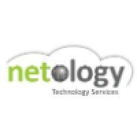 netology, llc. logo image