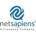 logo of Netsapiens A Crexendo Company