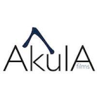 akula literary partners, inc logo image