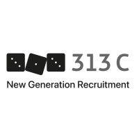 313c logo image