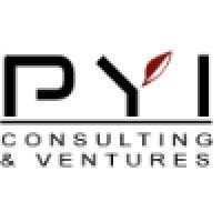 pyi ltd. logo image