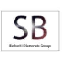 shlomo bichachi diamonds ltd logo image