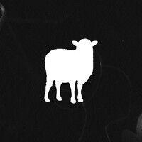 the black sheep agency, llc logo image