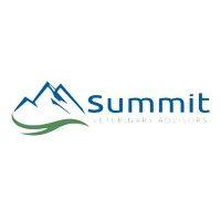 summit veterinary advisors logo image