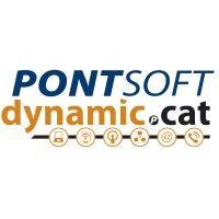 pontsoft s.l. dynamic.cat