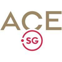 ace.sg (action community for entrepreneurship)