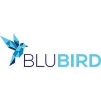 blubird logo image