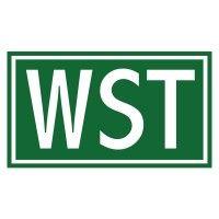 wall street training & advisory logo image