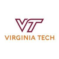 virginia tech institute for policy and governance logo image