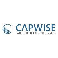 capwise financial services private limited logo image