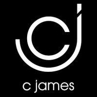 c james - financial services recruitment & search logo image