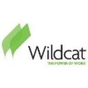 logo of Wildcat Service Corporation