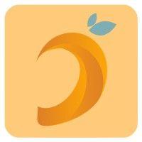 ordinary mango logo image