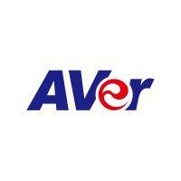 aver information logo image