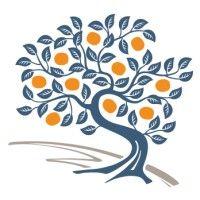 the persimmon group logo image