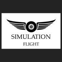 simulation flight