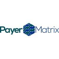 payer matrix, llc logo image