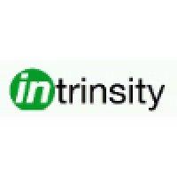 intrinsity logo image