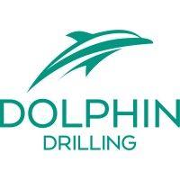 dolphin drilling logo image