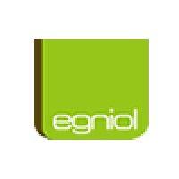 egniol consulting ltd logo image