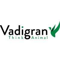 vadigran logo image