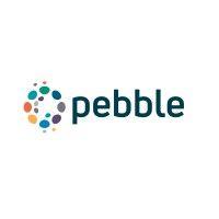 pebble logo image